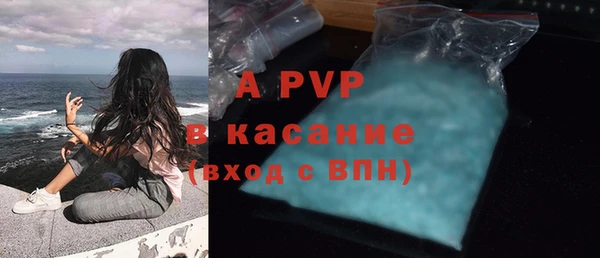 спайс Вяземский