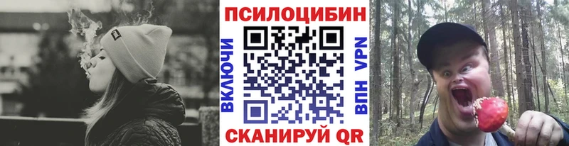 Псилоцибиновые грибы прущие грибы цены наркотик Кувшиново
